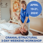 Cranial/Structural Therapy Workshop 2024 Structural Energetic Therapy SET