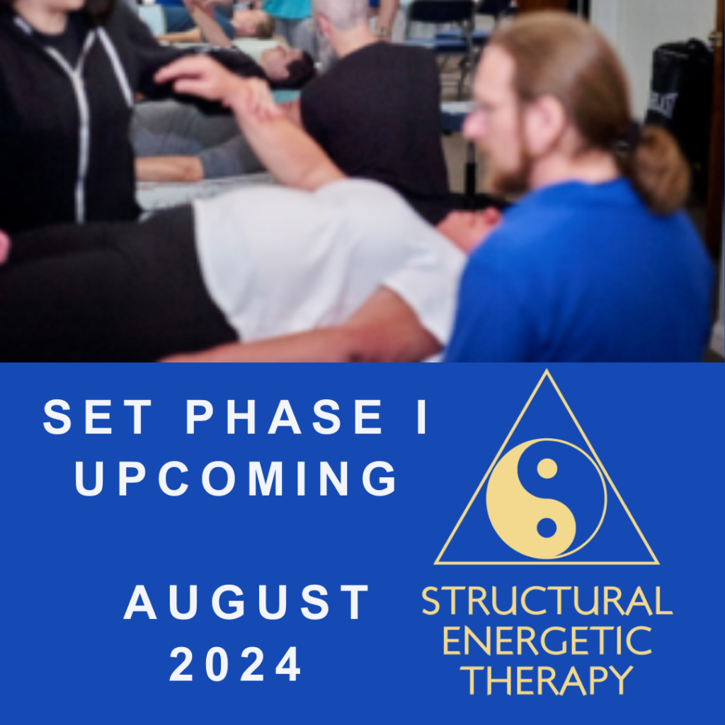 Barry Engh teaching Structural Energetic Therapy at SET Training
